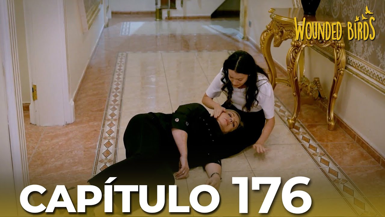 Omer Sueños Robados |  Capítulo 176