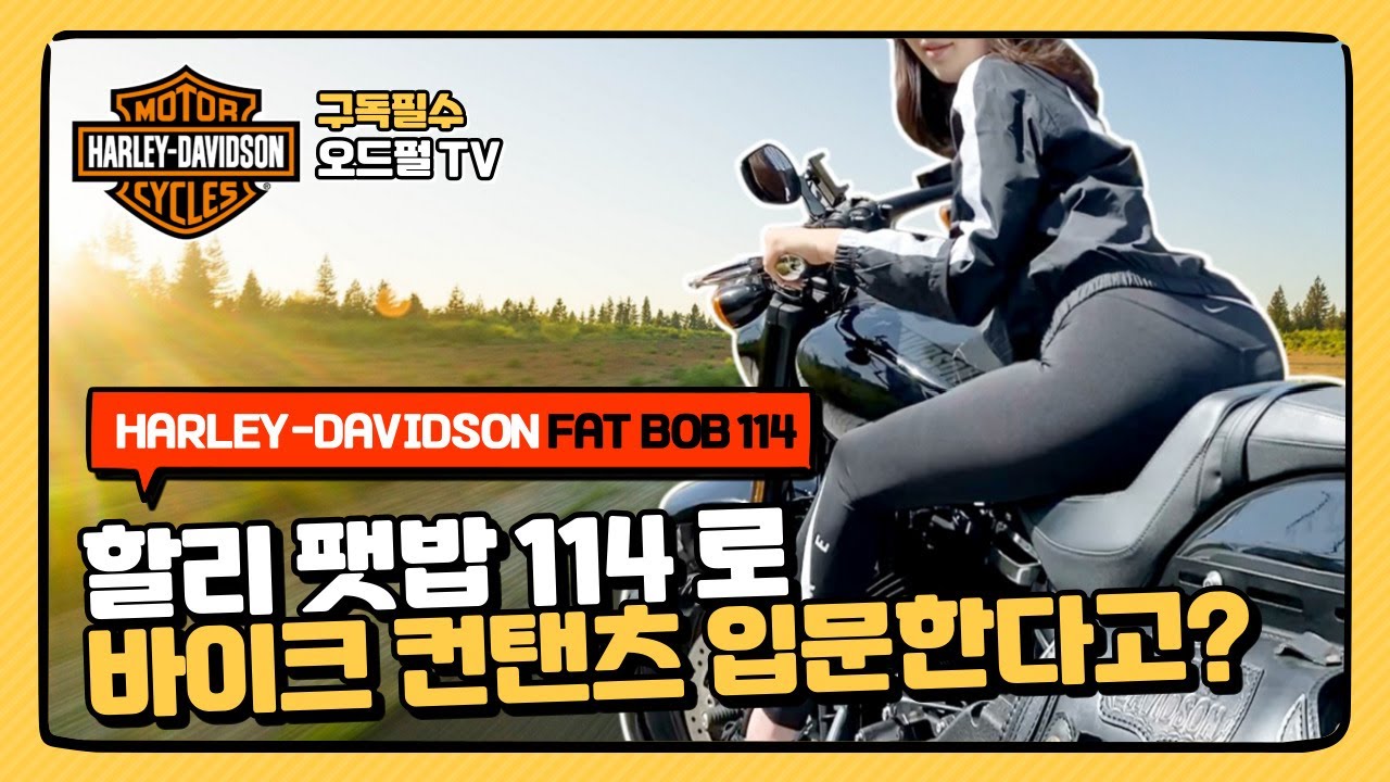 [시승기] 할리데이비슨 소프테일 팻밥 114 지루할틈이 없는 리뷰