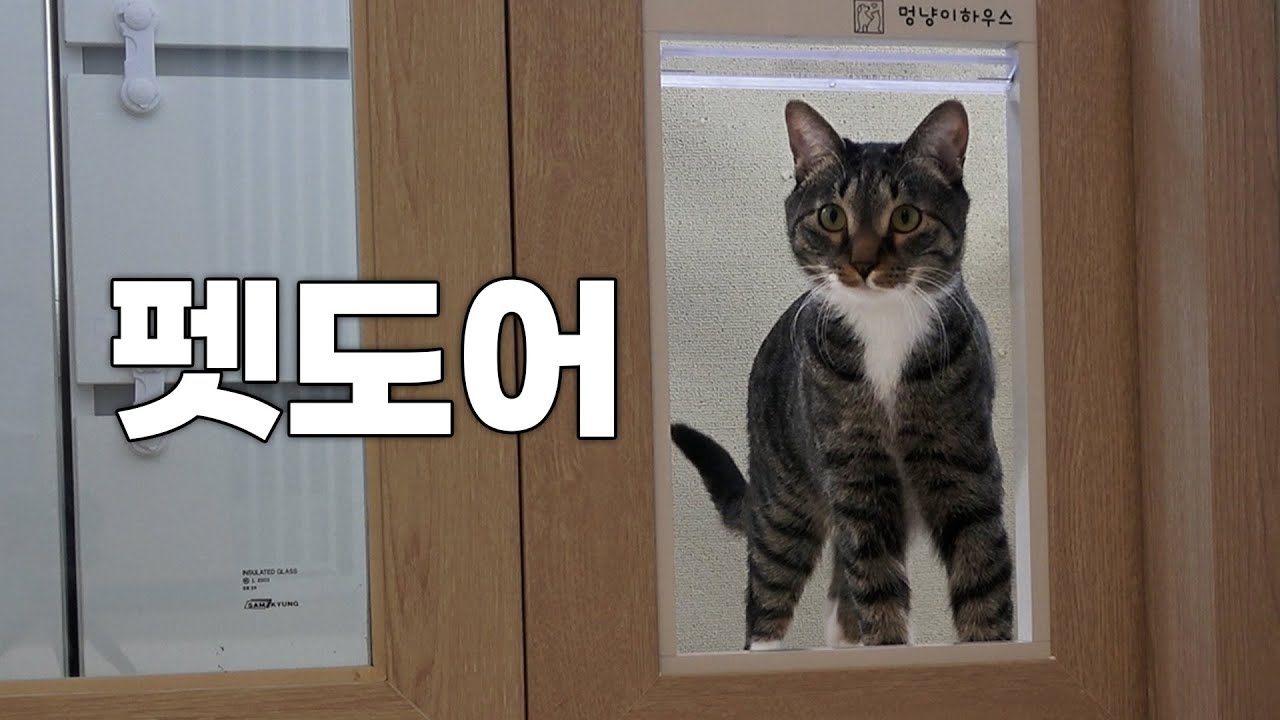 시루 전용 문이 생겼습니다...