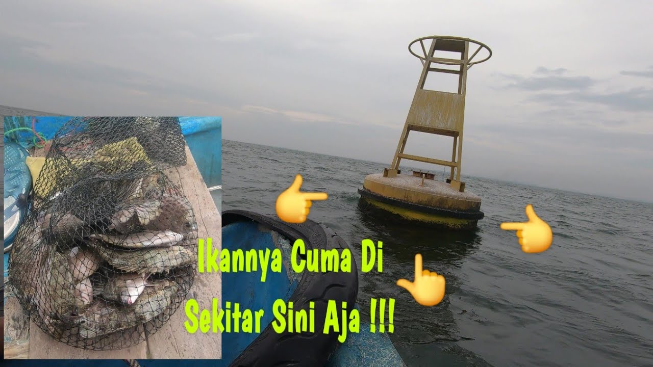 Berani Resiko !!! Ikan Mendekat Jadi Rela Ruas Tegek Di Masukkan Walau Resiko Patah