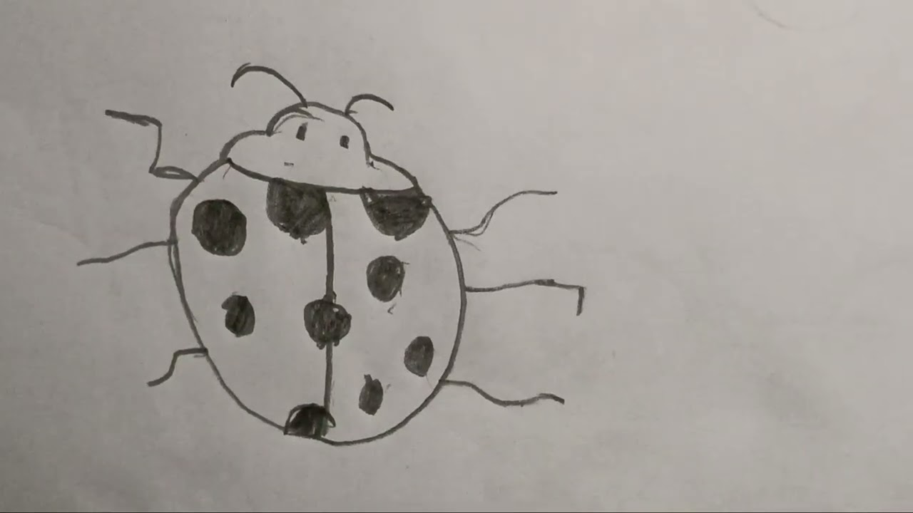 Easy Ladybug Drawing for Kids 🐞 | Step by Step Insect Drawing | Dishaan’s World