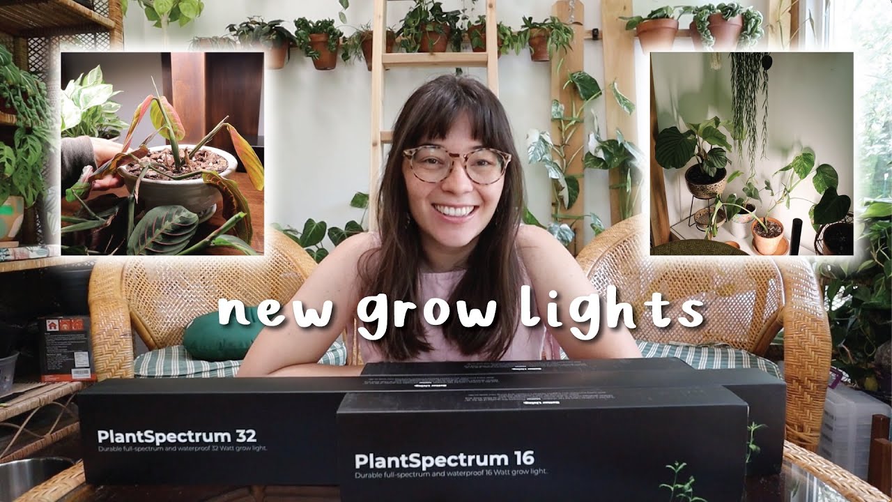 Creating New Houseplant Zones! | installing PlantSpectrum grow lights