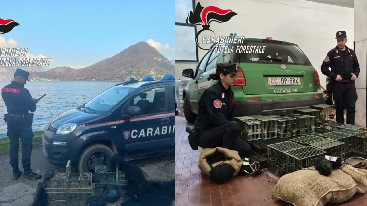 Un anno di lavoro a tutela dell'ambiente: il bilancio 2025 dei carabinieri forestali di Brescia