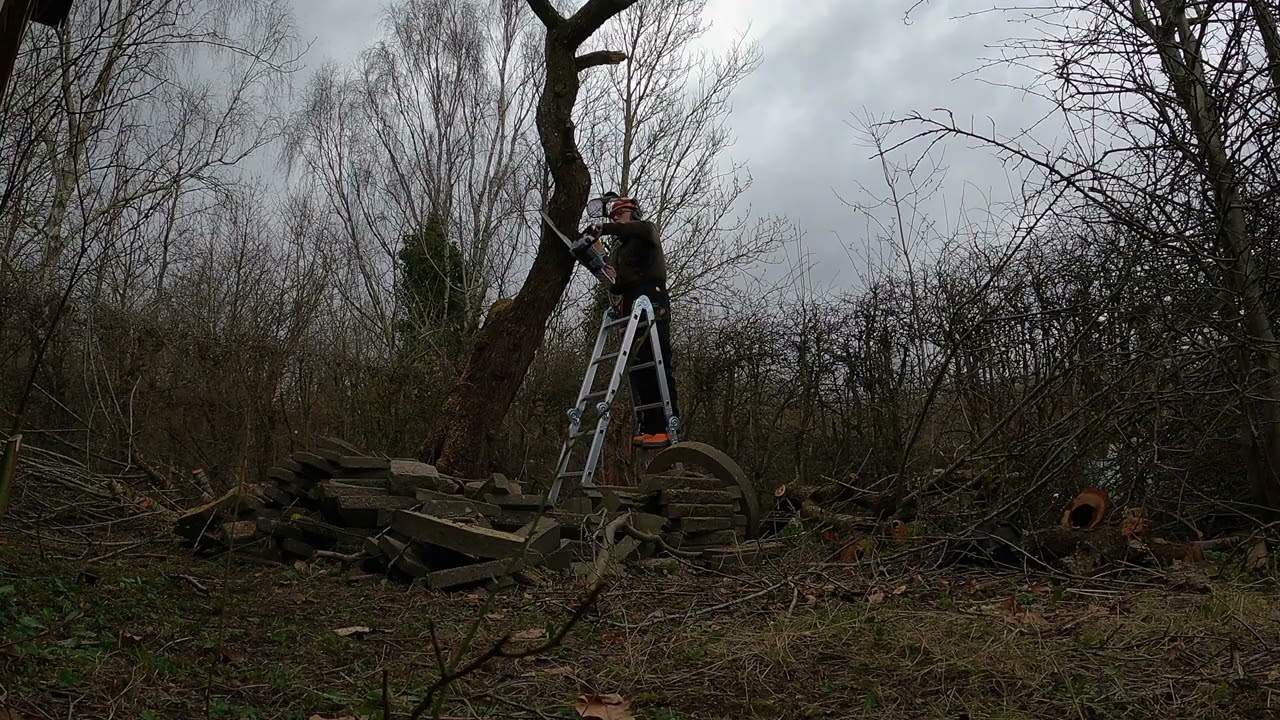 Abandoned Allotment part 2