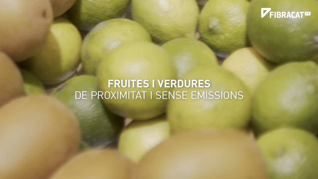 El gra de sorra: fruites i verdures de proximitat i sense emissions