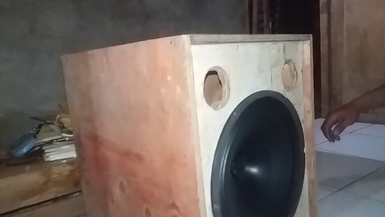 speaker elsound 12
