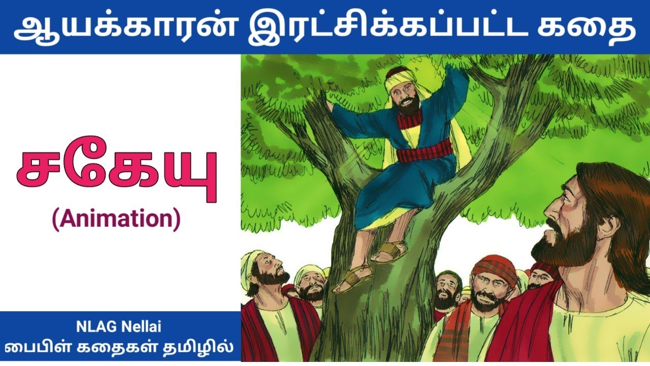சகேயு இரட்சிக்கப்பட்ட வரலாறு | Story of Zacchaeus - Bible story in Tamil- Animated video