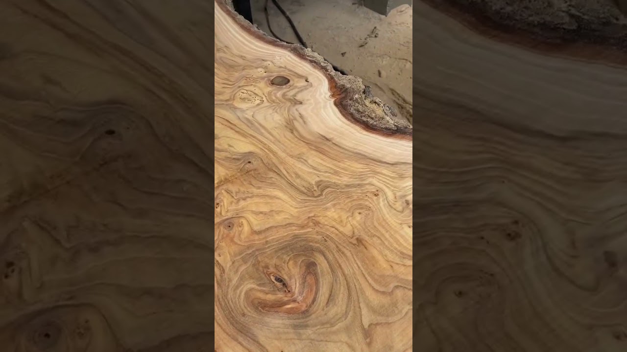 Biggest and Nicest slabs I&rsquo;ve ever milled!!! #sawmilling #sawmill #liveedgeslab #woodworking #logs