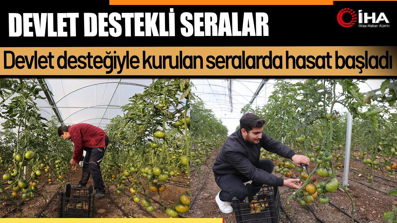 Devlet desteğiyle kendi işlerinin sahibi oldular, üretime başladılar