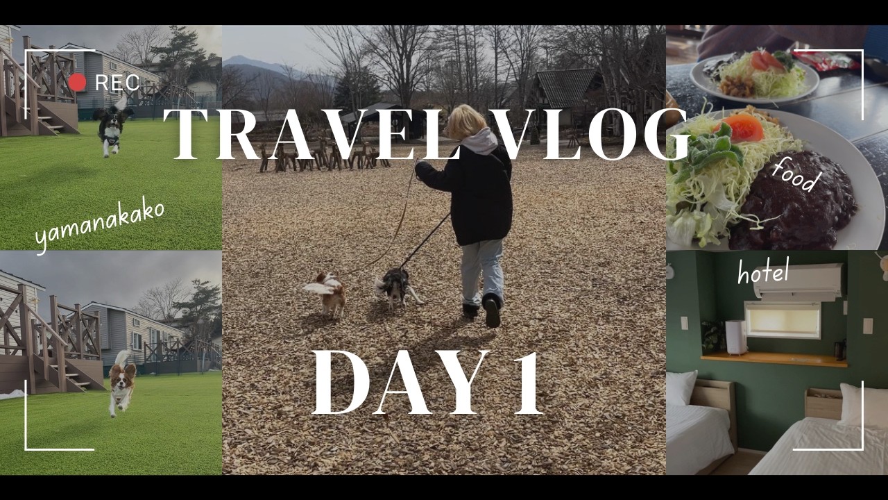 [Vlog]山中湖旅行DAY１⛰️キャバリアの姉弟とドッグラン付きキャビンでお泊まり🐶