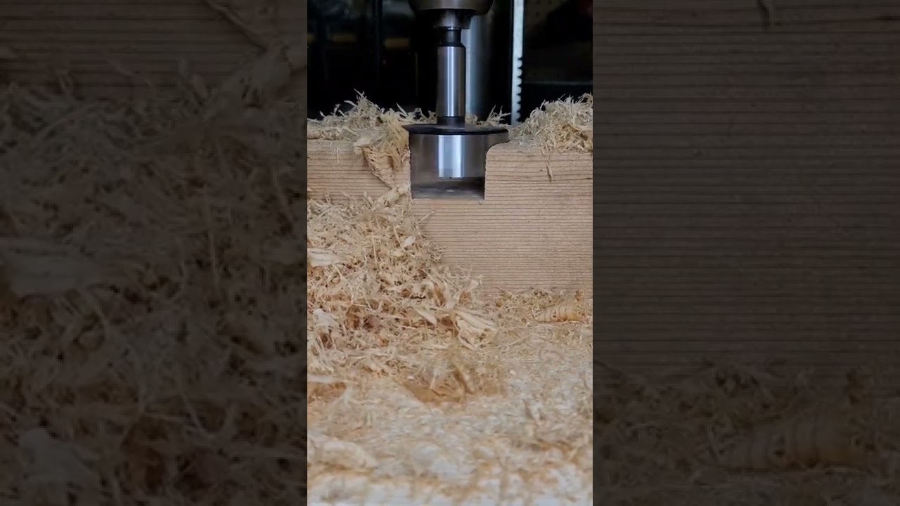 Forstner Bit Demonstration #shorts #tools