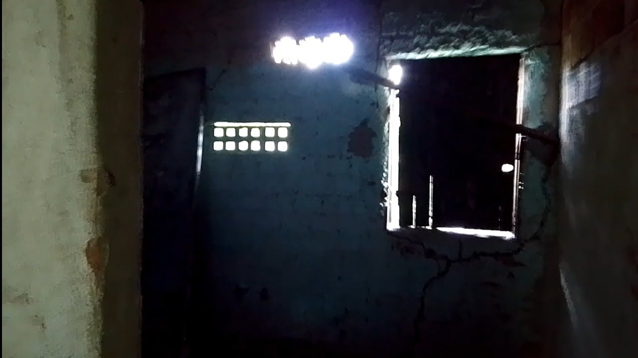 Acampei em uma casa velha cheia de morcegos