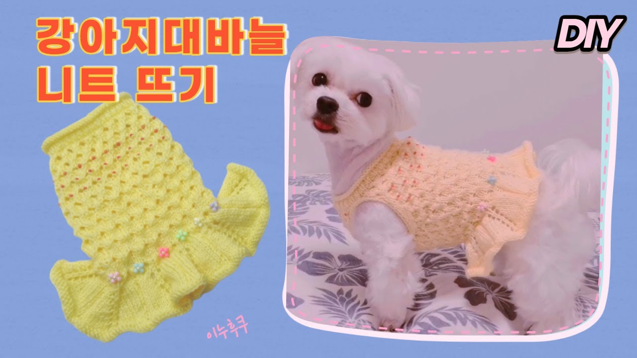 #0051 DIY|이누후쿠|강아지옷뜨개질|발랄하고귀여운옷만들기|대바늘|비즈Puppy knitting clothes#2022