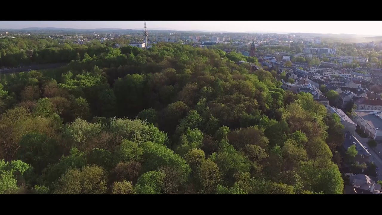 Park im. W. Bednarskiego