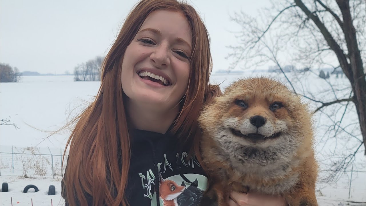Happy Valentine's Day from Finnegan and Muttias! ❤️🦊