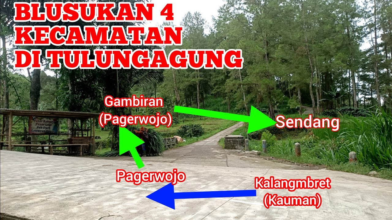 BLUSUKAN 3 KEC. KAUMAN, PAGERWOJO, SENDANG & KARANGREJO TULUNGAGUNG, DI LERENG G. WILIS!