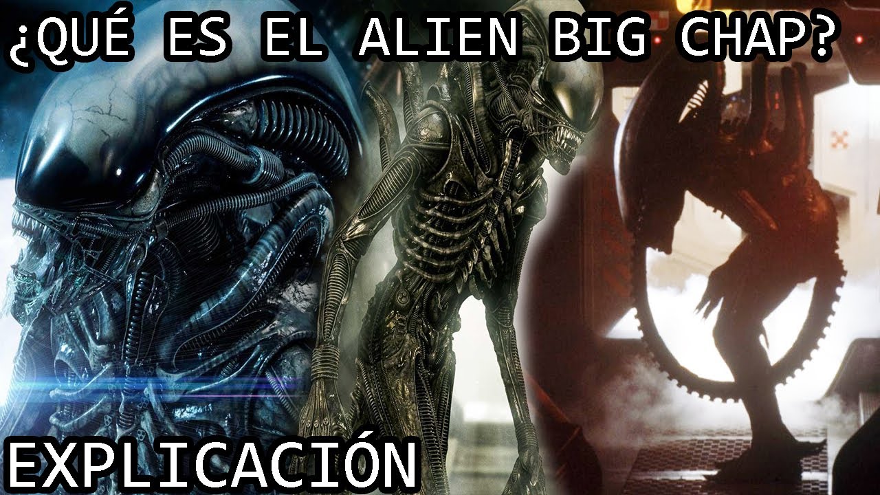 ¿Qué es el Xenomorfo Big Chap? | La Aterradora Historia del Alien Big Chap de Alien (1979) Explicada