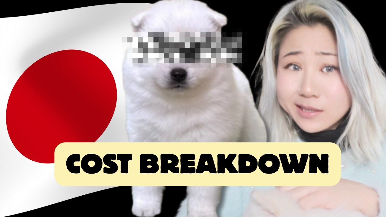 Watch this before you get a dog in Japan... First month cost breakdown