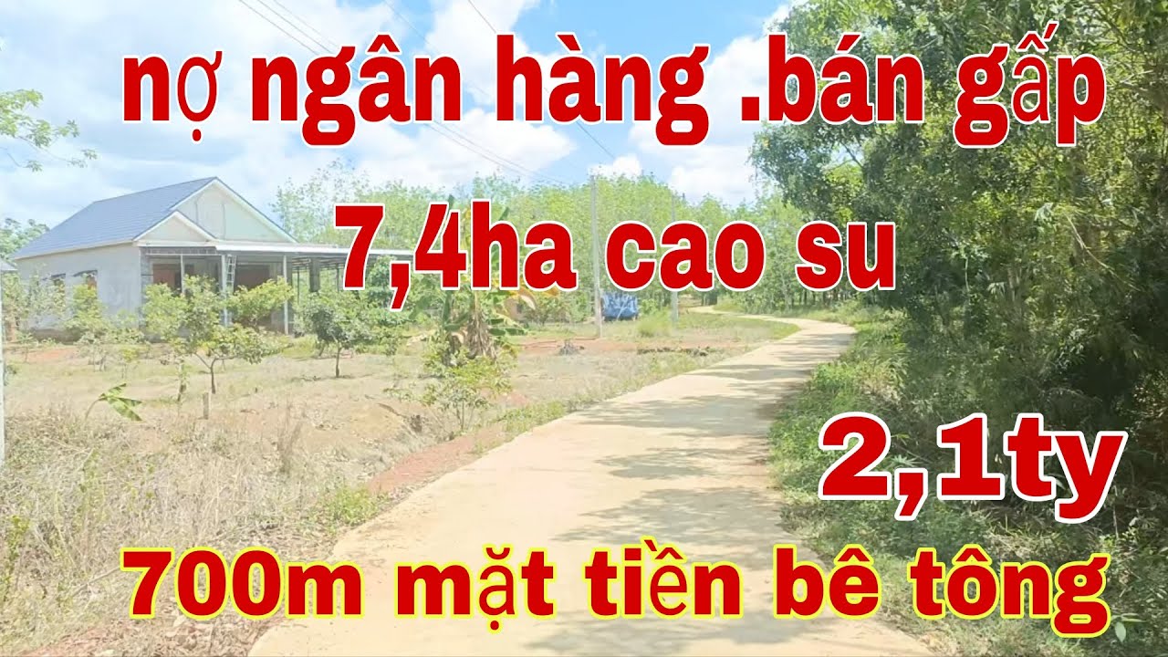 Cực phẩm bể nợ ngân hàng 7,4ha bám 700m mặt bê tông gần khu công nghiệp đồng phú  .0937971626