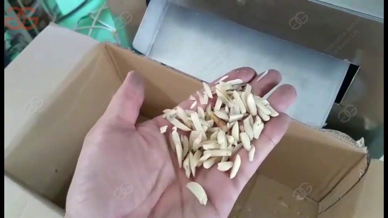 Peanut Strip Cutting Machine Manufacturer