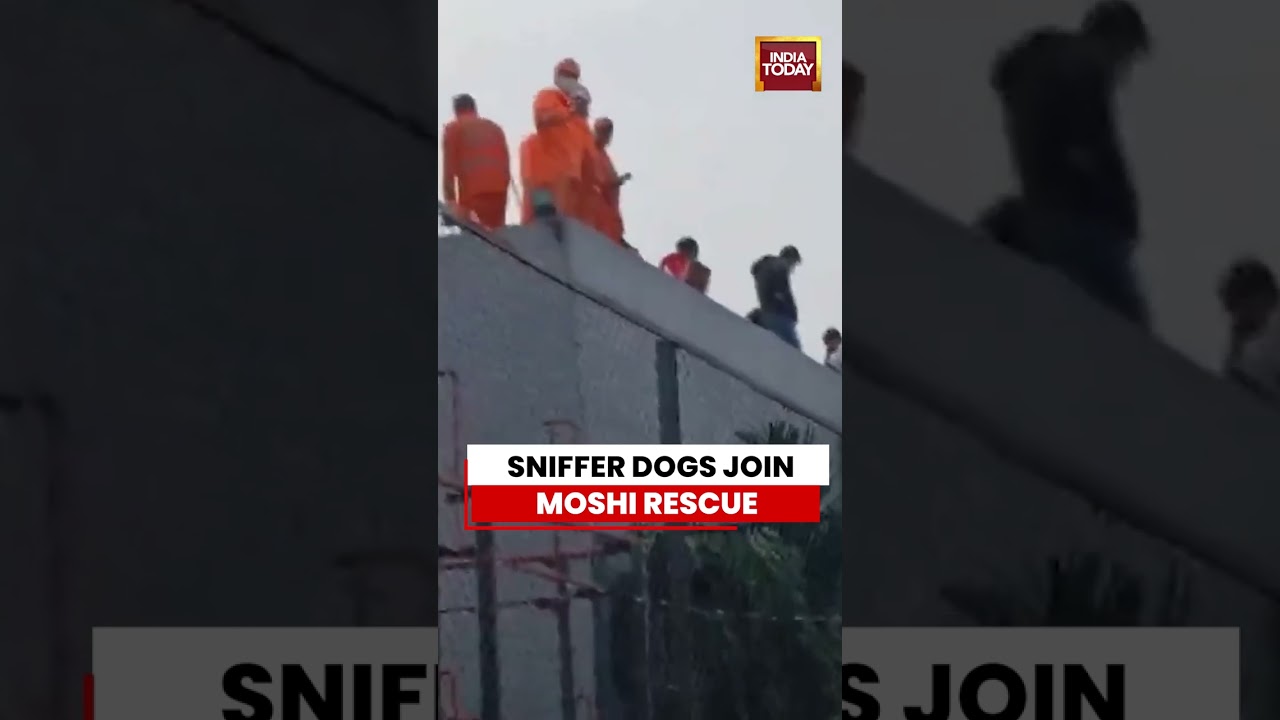 Обрушение здания в Пуне: NDRF начала спасательную операцию в Моши | Новости Махараштры
