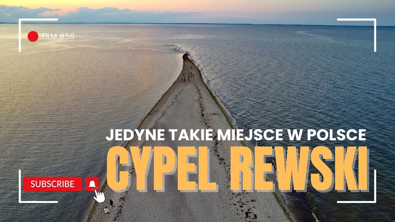 CYPEL REWSKI Z DRONA | MEWIA REWA | RYW MEW | POLSKI CUD NATURY | Morze Bałtyckie | Lato 2024