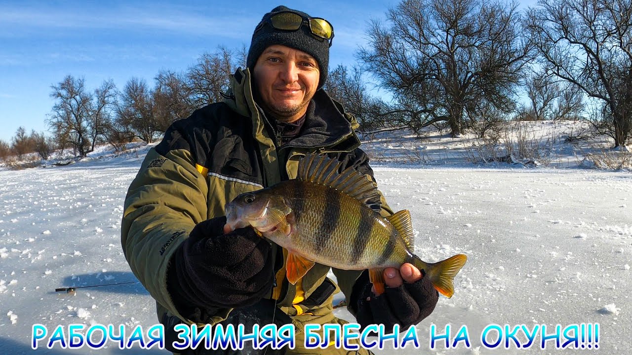РАБОЧАЯ зимняя блесна на ОКУНЯ!!! Рыбалка зимой со льда 2024!
