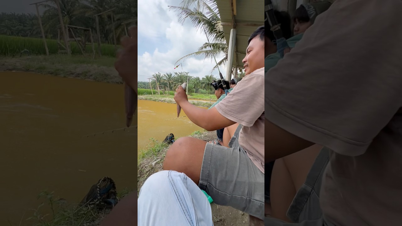 Part 1 | perdana mancing harian ikan lele
