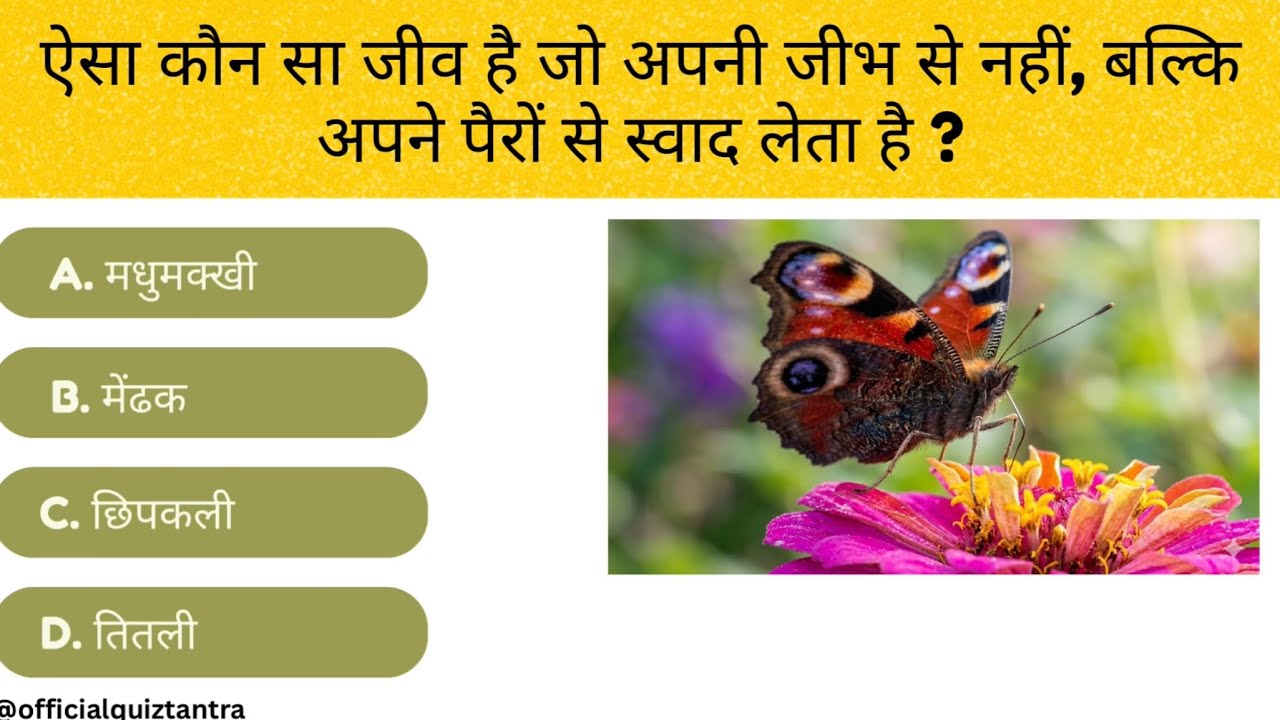 General Knowledge Most Important Question || GK Question || GK Quiz || Quiz Tantra ||