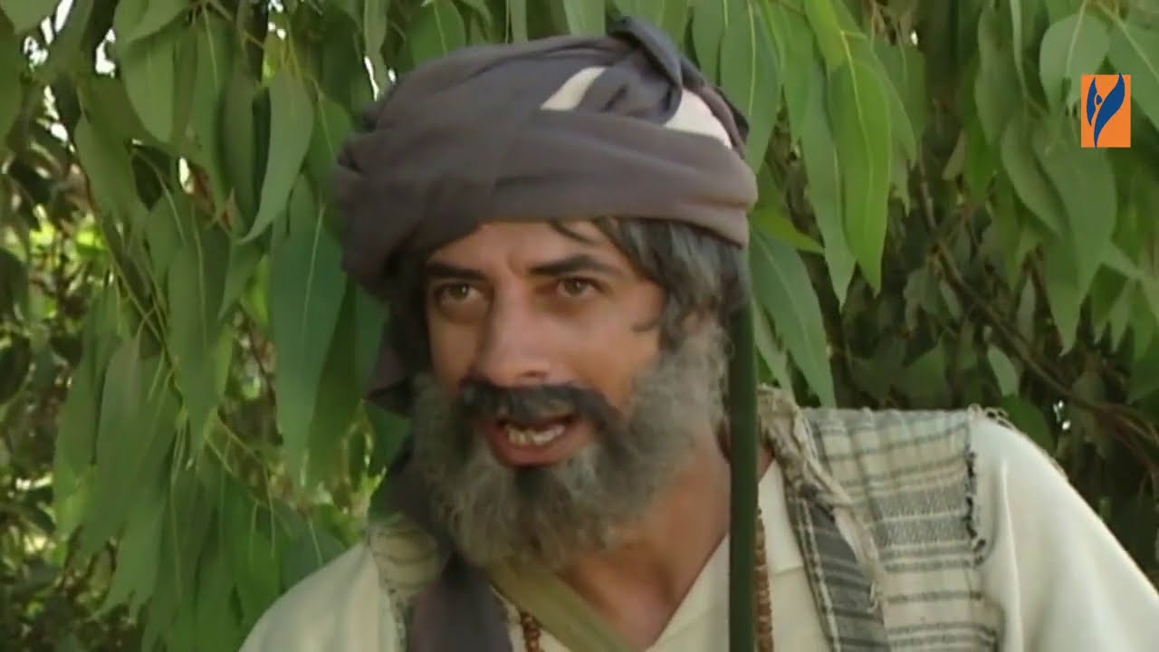 حكايا بهلول اعقل المجانين : عندما بلغت تجارتي ذروتها .. ضاع مني كل شيء