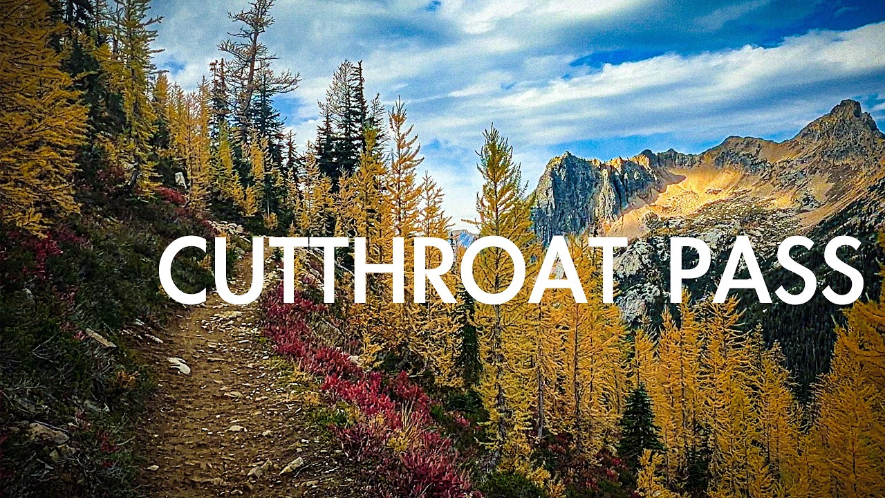 Лиственницы в период своего расцвета | Перевал Каттроут, Северные Каскады