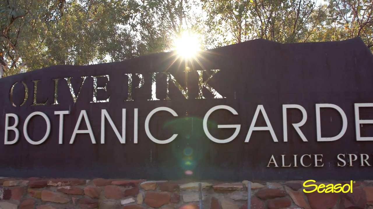Seasol Spring Carnival Garden Tour - The Olive Pink Botanical Gardens  (Alice Springs, NT)