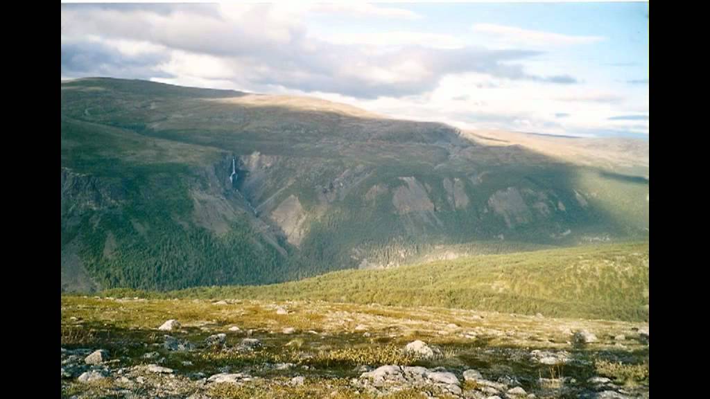 Mine kvenske forfedre