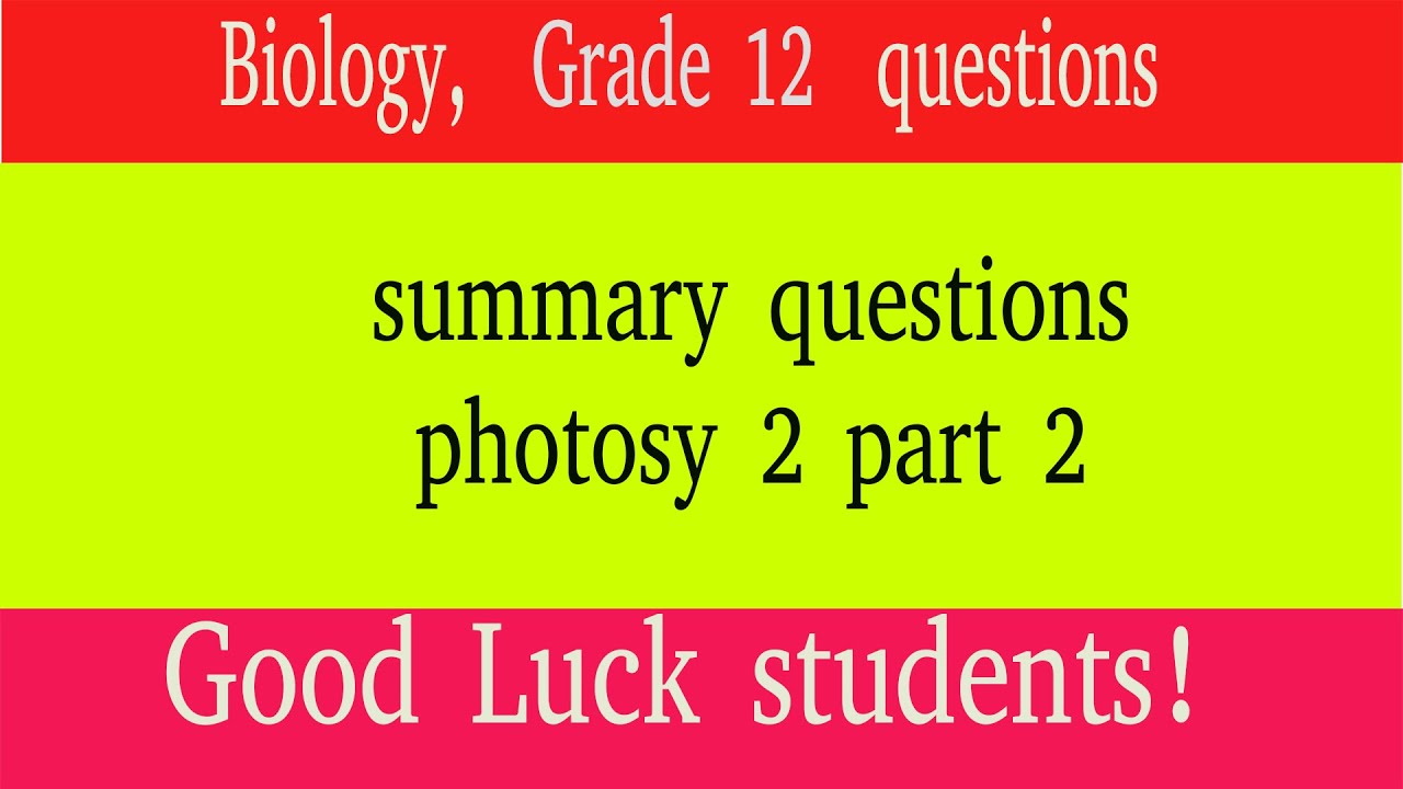 Biology Grade 12 summary questions on photosy 2