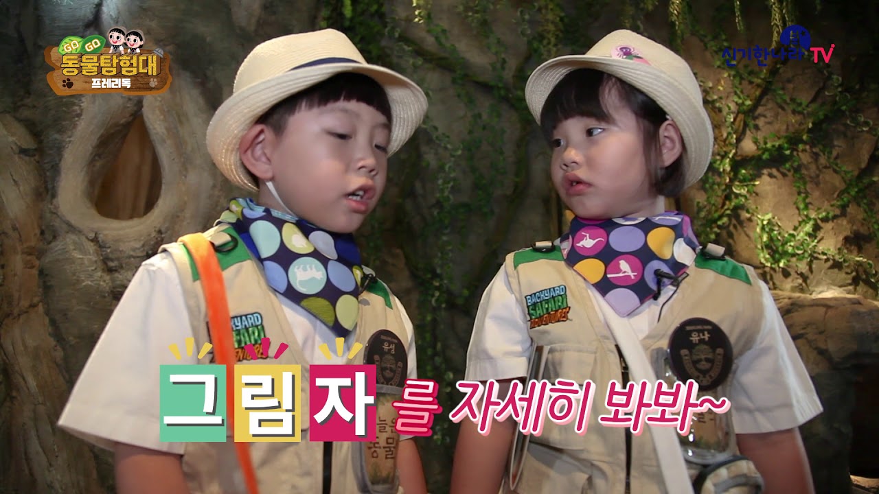 [GOGO 동물탐험대]EP1. 글자 괴물이!!주렁 숲에 도움이 필요해!!