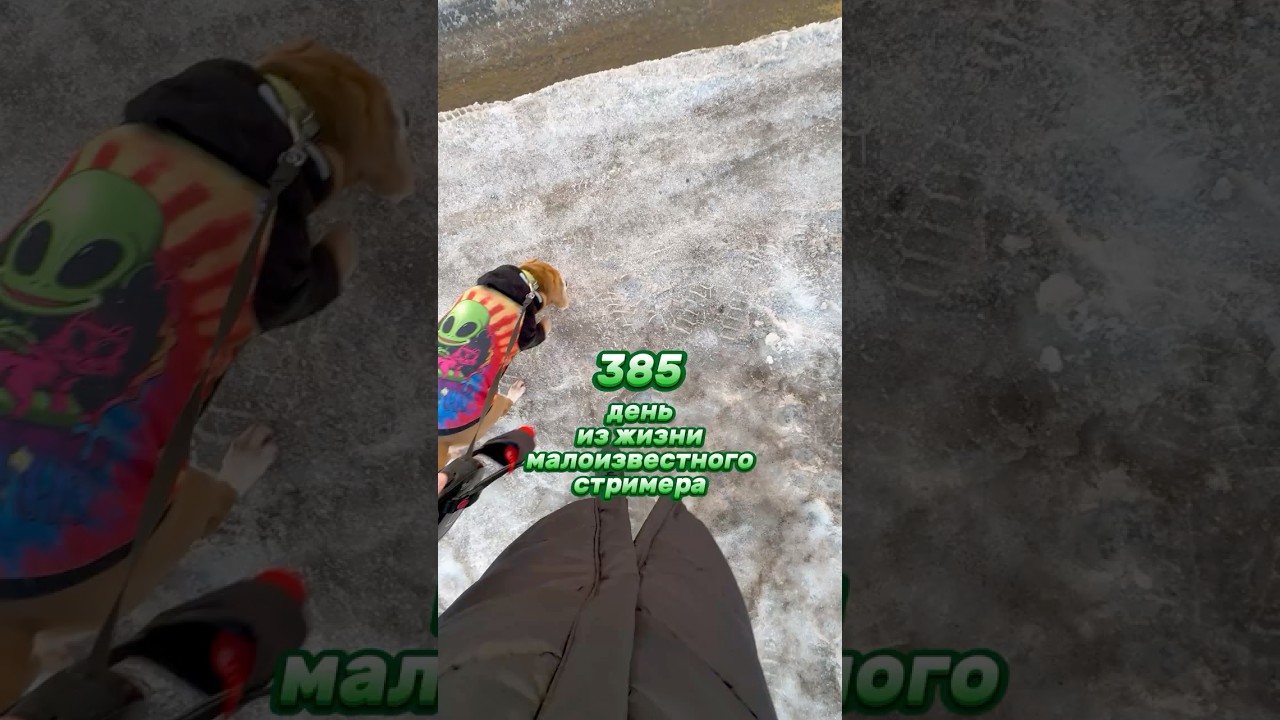 385й день из жизни малоизвестного стримера #влог #twitch #vlog #влог