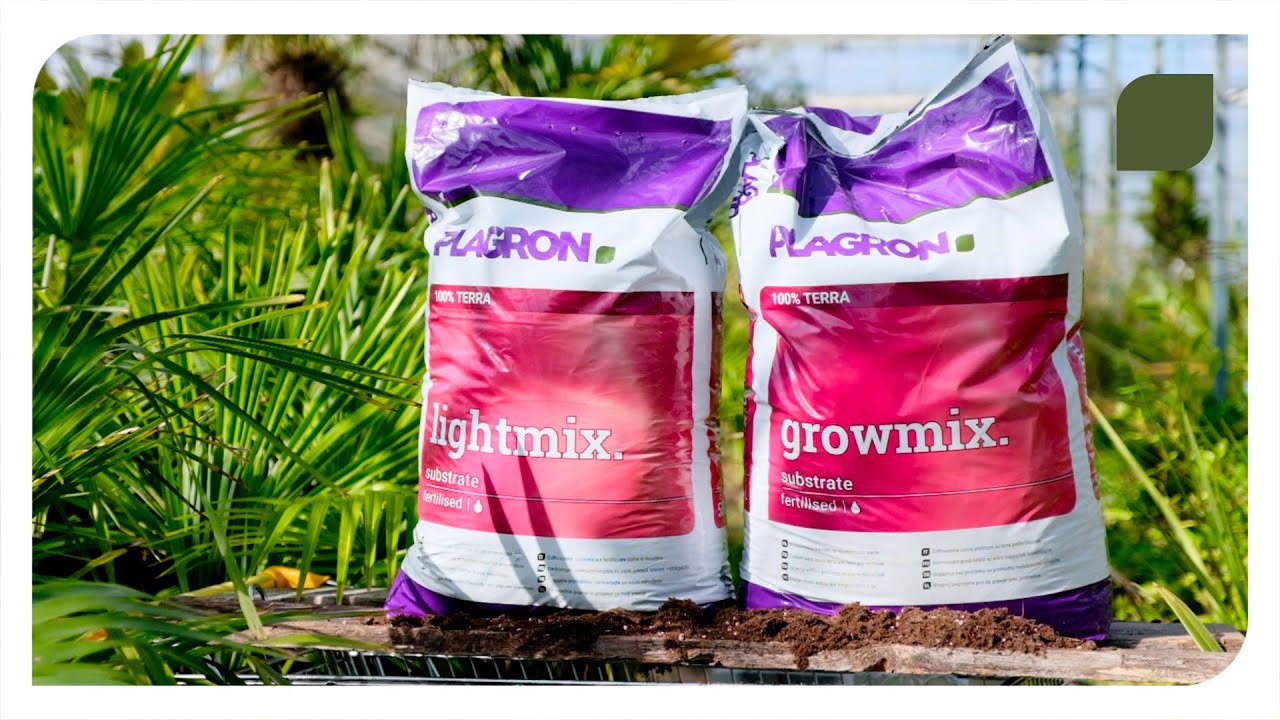 Plagron Lightmix and Growmix: which one is right for you?