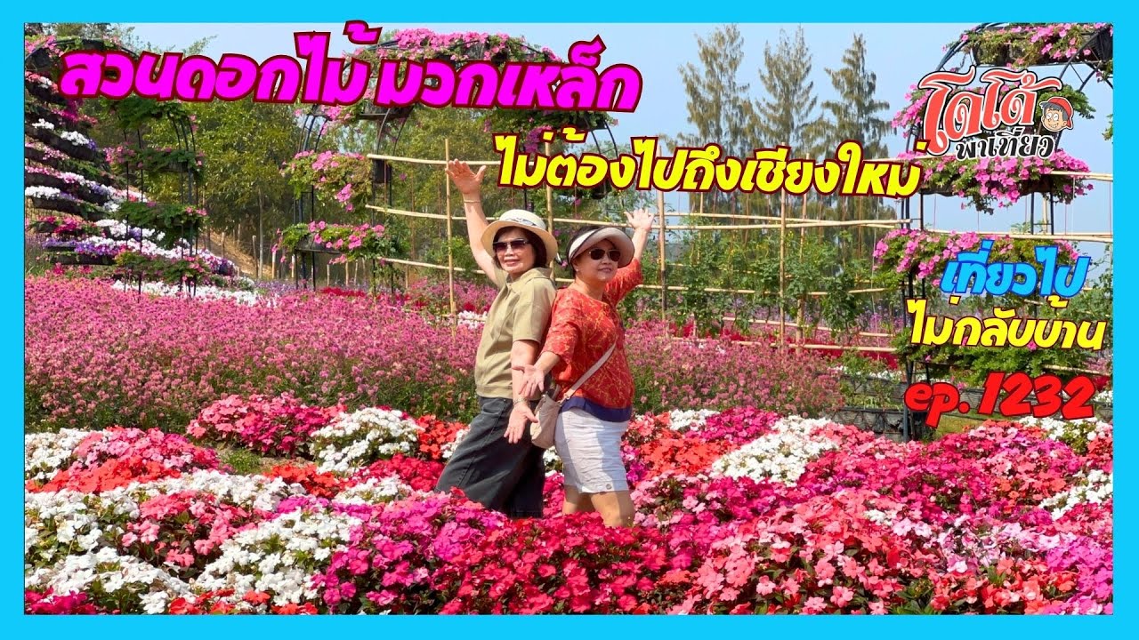 สวนดอกไม้ มีคาเฟ่ สวยงาม แหล่งท่องเที่ยวใหม่ มวกเหล็ก ไม่ต้องไปเชียงใหม่ เที่ยวไปไม่กลับบ้าน ep.1232