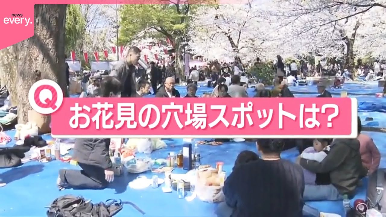 【きょうの1日】「あなただけのお花見穴場スポットは？」  寒さから一転、各地で桜満開に