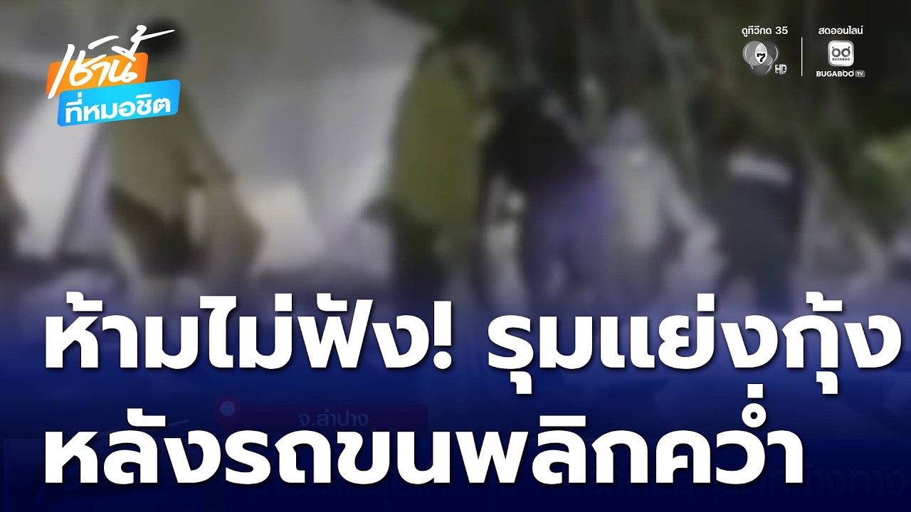 ชาวบ้านรุมเก็บกุ้ง หลังรถขนกุ้งตกข้างทาง | เช้านี้ที่หมอชิต