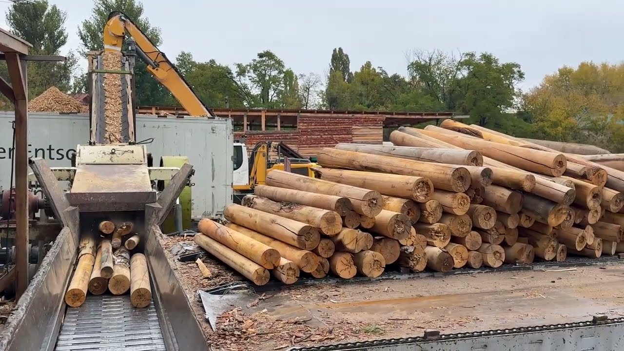 MEGA Destruction of Timber in an Insatiable Shredder
