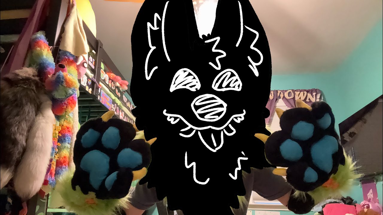 Binx Fursuit Unboxing‼️