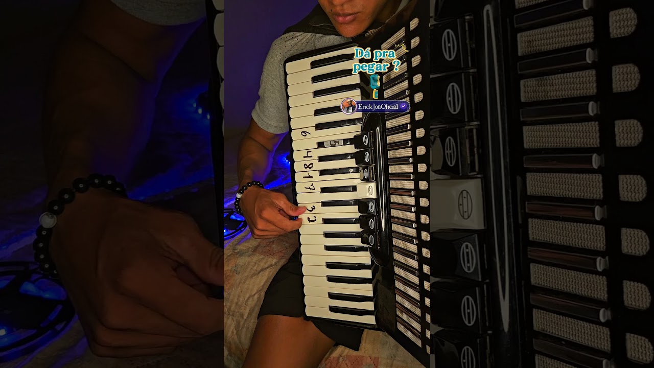SEIS CORDAS - MODO F&Aacute;CIL 🌵 #mastruzcomleite #forr&oacute;dasantigas #tutorial #videoaula #acordeon #viral