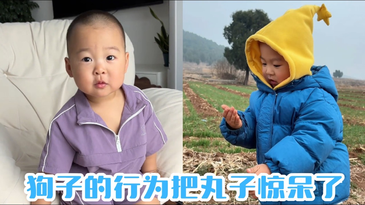 狗子的行為把丸子驚呆了#【魚丸.】#萌娃搞笑日常 #人類幼崽 #萌娃日常#可愛到爆炸
