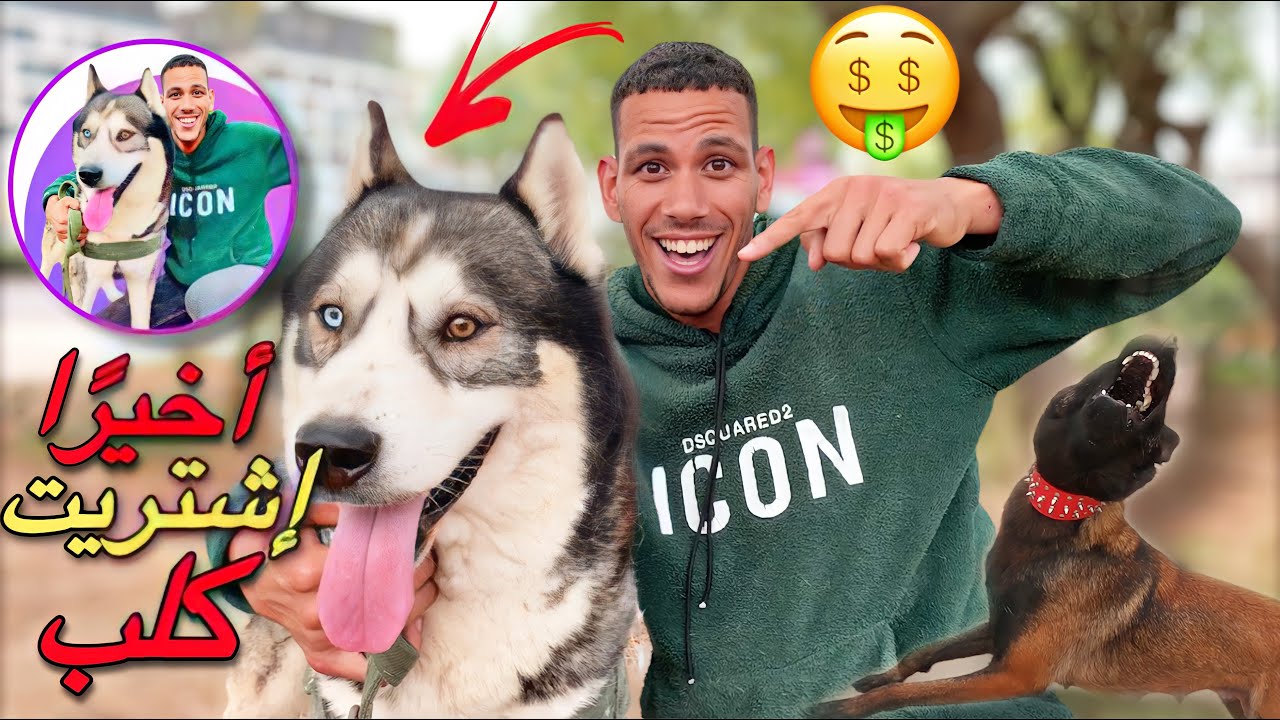 أخيرًا إشتريت كلب 🐶 جديد 😩كلاب ضخمة و خطير جدا في سوق القريعة يوم الأحد 😱أتمنة خيالية جدا 🤑