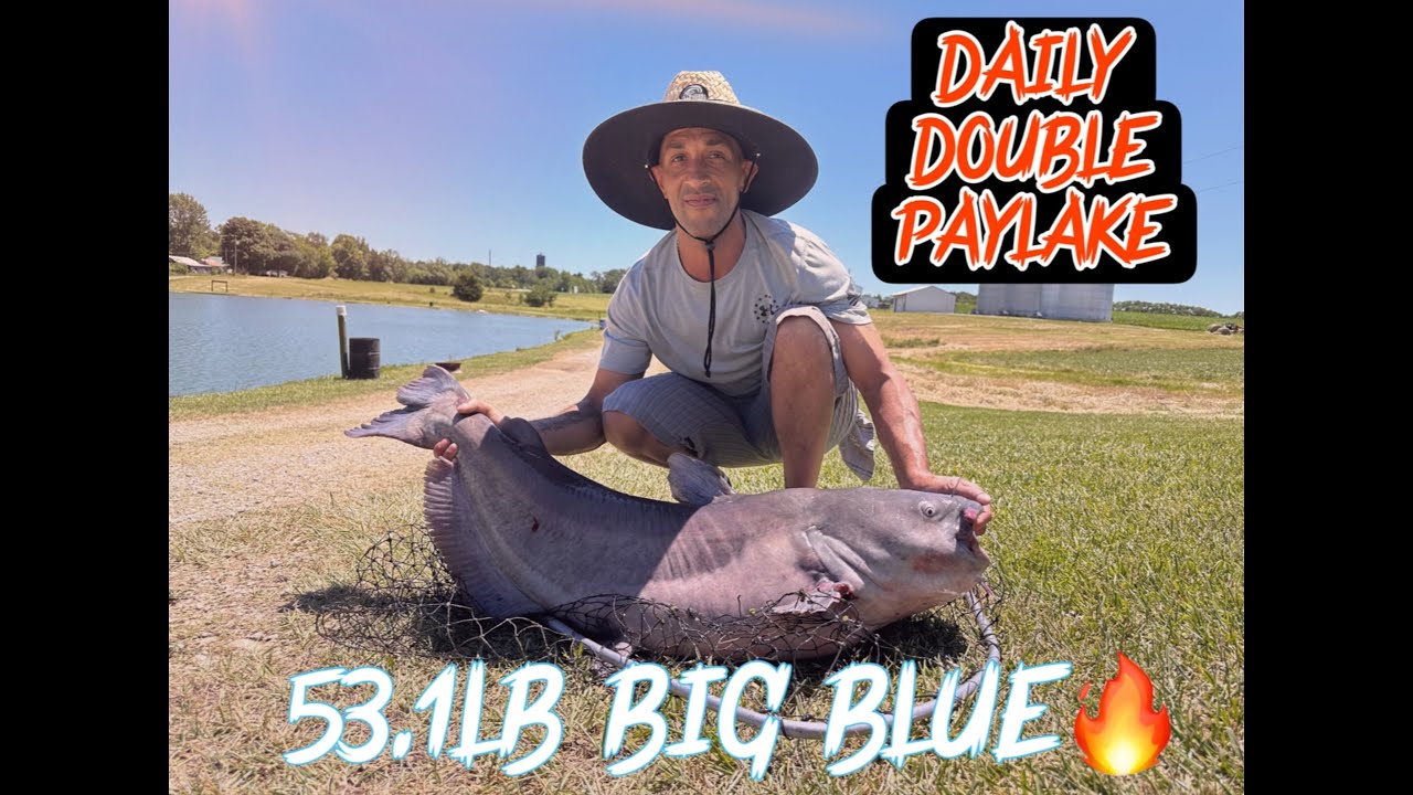 Daily Double Paylake 53.1LB BIG BLUE CATFISH!!!!