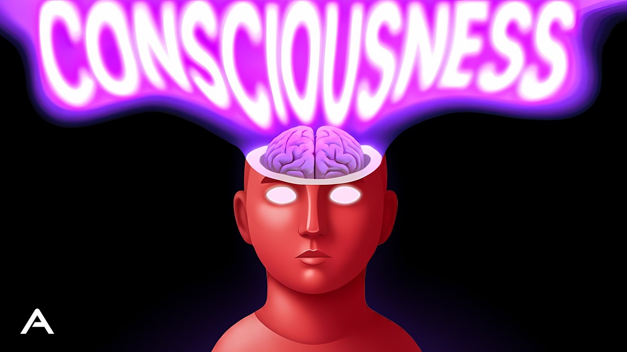Everything We Don't Know About Consciousness