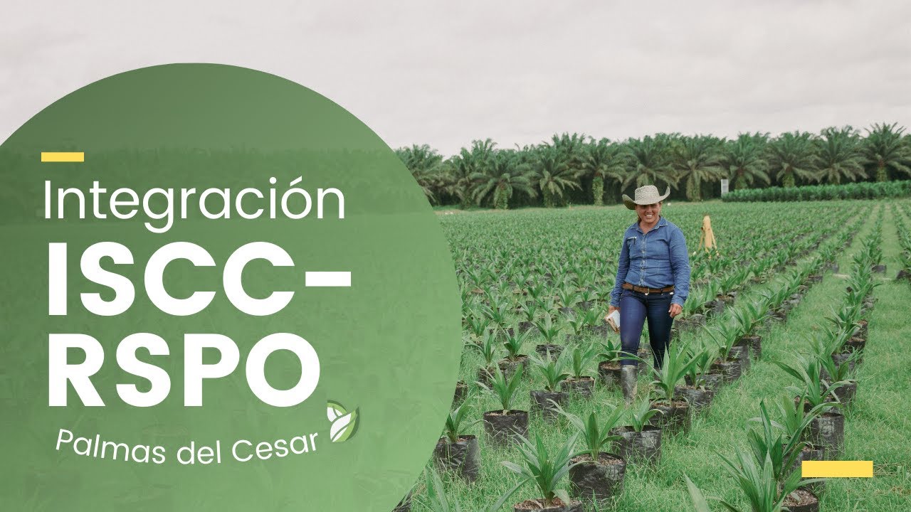 INTEGRACIÓN ISCC Y RSPO