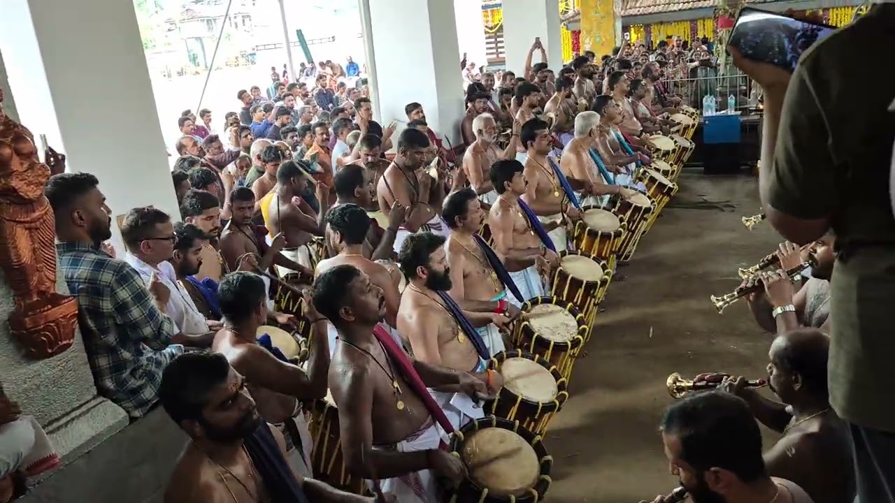 🐘 Annamanada Pooram – പെരുവനം കുട്ടൻ മാരാർ #chendamelam #chalakudy #malayalamvlog #thrissur  #mala 