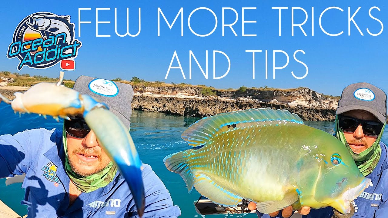 EP - 67 How to Catch? Bluebone/Tuskfish Consistently - Got a FREE 4X4